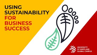 Using Sustainability for Business Success
