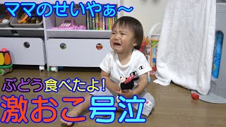 ママのせいで激おこ大号泣？！ぶどうモッパン＆プレゼント紹介！男女双子赤ちゃん生後1歳7ヶ月Mix twins cry because of mom.eat a grape and present