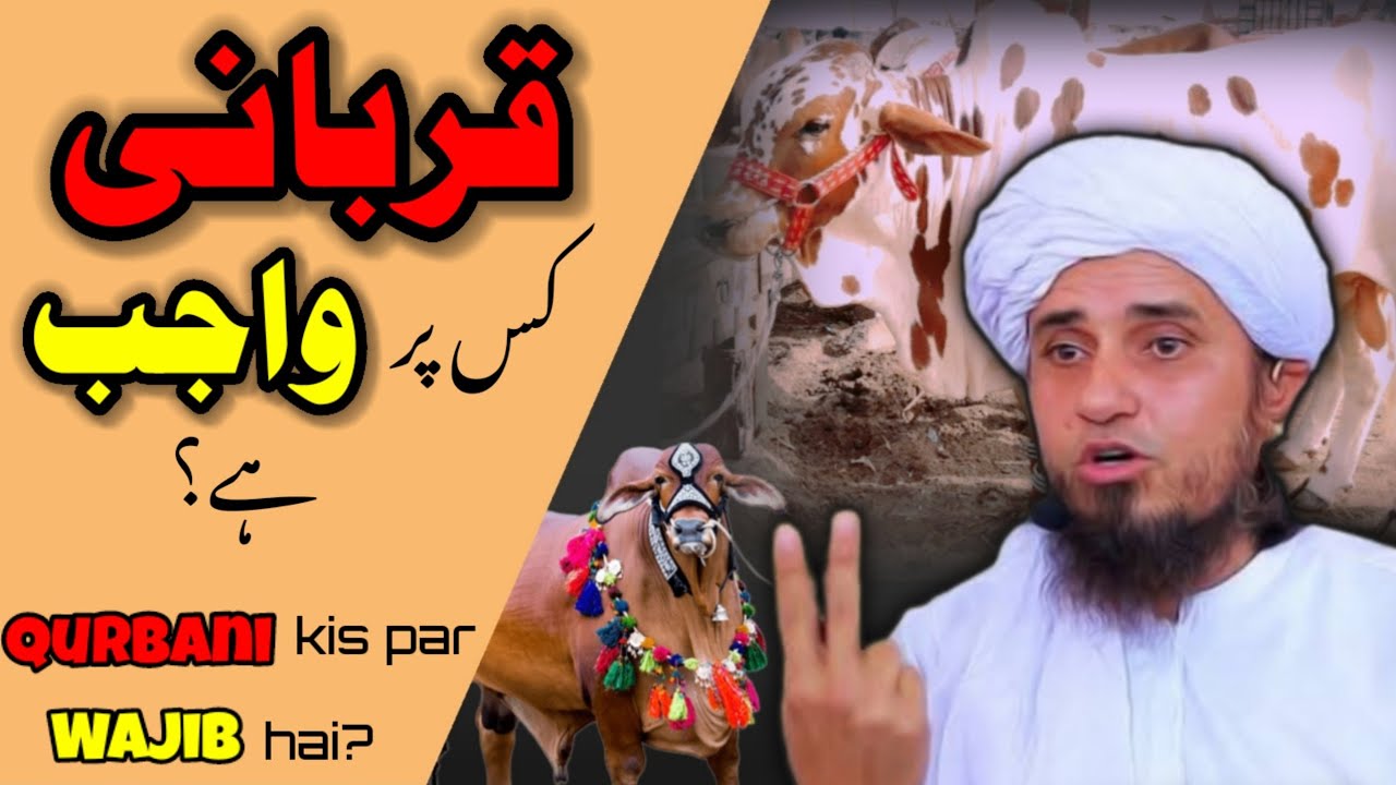 Qurbani Kis Par Wajib Hai || Qurbani Ke Masail || Solve Your Problems ...