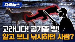 고라니인줄 알고 낚시하던 사람 공기총으로 쏴 [자막뉴스] / 채널A