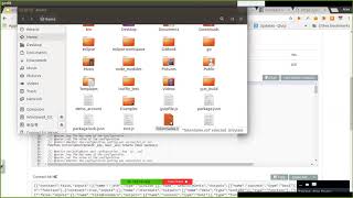 bytecode verifier demo