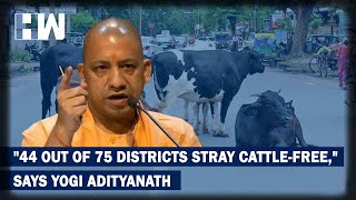 Yogi Adityanath says 44 out of 75 districts stray cattle-free after PM Modi promises new system| BJP