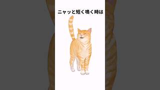 鳴き声で分かる猫の心理雑学 #雑学#shorts