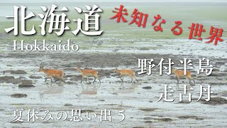 2024年 北海道旅行 5｜ 野付半島〜走古丹 - 非日常を味わう