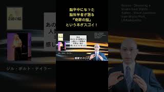 【肉体は仮のもの】脳卒中になった脳科学者が語る「奇跡の脳」という本がスゴイ！