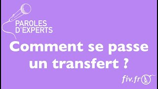 FIV : Comment se passe un transfert ?