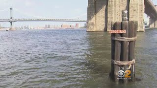 Baby Boy's Body Pulled From Water Near Brooklyn Bridge
