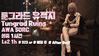 [검은사막] 각성 소서러 패치 후 툰그라드 유적지 상줌 1시간 [BDO] sorceress awakening Tungrad Ruins 2Ls 1h (After Buff)