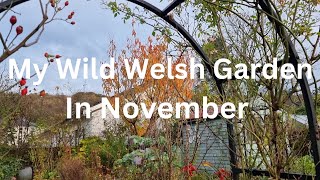 November Garden Tour