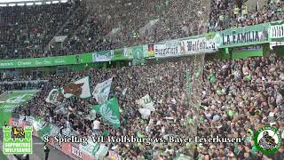 8. Spieltag VfL Wolfsburg vs. Bayer Leverkusen