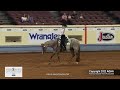 2022 ford aqhya world 13 u0026 under horsemanship