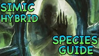 D\u0026D5E: SIMIC HYBRID GUIDE