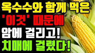 옥수수와 절대로 함께 먹지마세요! 암과 치매에 걸릴 수 있습니다! 🌽 옥수수 최악의 궁합인 3가지 음식과 내장 지방 독소 싹 빼주는 최고의 레시피 총정리 [효능, 건강 정보 여름]