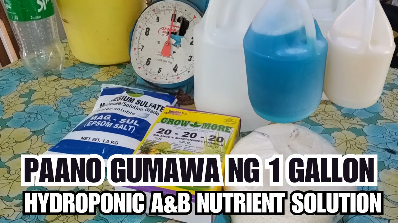 How To Make 1-Gallon A&B Nutrient Solution Hydroponic Farming At Home ...