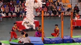 2018.10.20高樁獅王爭霸賽-臺南雄威館-2018泰山獅王爭霸賽 ! Lion Dance Competition