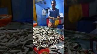 Sardine fish |ചാള | today #fisherman #shorts