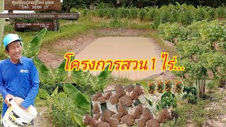 โครงการสวนเกษตร1ไร่น้ำท่วมหนักปรับสู่เกษตรทฤษฎีใหม่มีกินมีขายในครัวเรือน|กบปลาพารวย