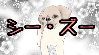 トリマーがシーズーのチャロちゃん描いてみた！［兵庫ペット医療センター トリミング 尼崎 犬動画　］Happy dog glooming