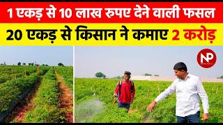 मिर्च🌶️ की खेती से करोड़ों 🤑 कमा रहा Maharashtra का ये किसान | chilli farming | mirchi ki kheti