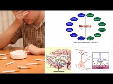 Electronic cigarettes Electronic cigarettes