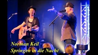 Wingenfelder feat. Norman Keil  -  Springen in die Nacht  -  live in Wolfsburg  27.02.2016