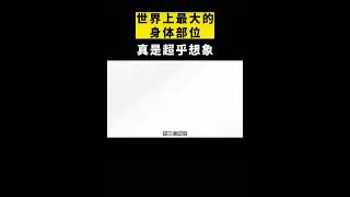 第一集｜世界上最大的人类部位，看得让人心惊肉跳 科普 #涨知识 #人体奥秘