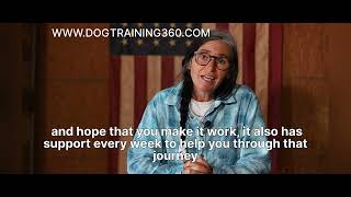 Top Online Dog Training Courses: Unlock a World of Canine Learning 🐕📚