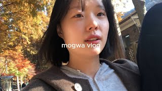 vlog. 가을의 끝자락을 잡으러 장태산 단풍구경하고 양꼬치에 맥주! 그리고 모과마켓 코트 배송 열일하는 브이로그 #장태산 #단풍구경