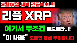 [리플 XPR 코인] 새벽 긴급속보 터졌습니다.. \