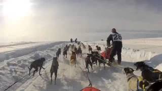 Saskatchewan Championships 10 Dog Mass Start