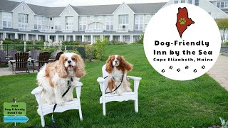 Dog-Friendly Maine Weekend Getaway, Inn by the Sea Review | Dexter's Road Trip Vlog 21