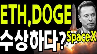 비트코인 도지코인 리플코인  🔥DOGE  ETH  수상하다? 🔥