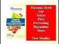 Mucuna Herb for Stress, Pain, and Increasing Dopamine - New Studies