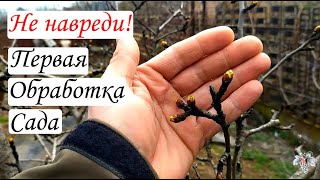 Не навреди! Первая обработка сада