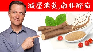 降低壓力消炎的南非醉茄,吃法與劑量,自然療法,柏格醫生 Dr Berg