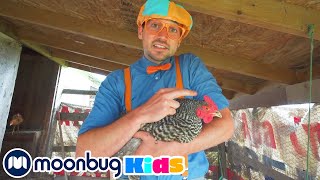 Blippi Visits a Farm and Finds Animals |@Blippi | Moonbug Literacy