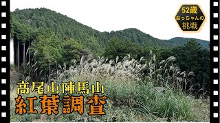 高尾山から陣馬山への紅葉調査