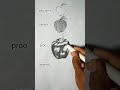 how to draw a Apple 🍎#drawing #art #freehandsketch #outline #youtube  #shorts #viral