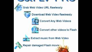 GetFLV Pro v9.1.1.8 - FULL