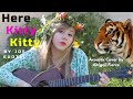 Here Kitty Kitty Joe Exotic Cover - Carole Baskin Parody