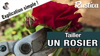 Comment tailler un rosier simplement