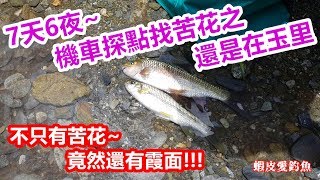 【蝦皮愛旅行】7天6夜機車探點找苦花之還是在玉里~Day 4｜蝦皮愛釣魚