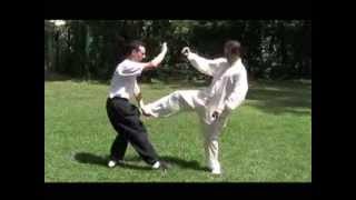 Techniques de Tang Lang Quan - CAMC (中華武術學院) - Kung fu Aix