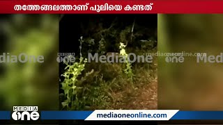 മണ്ണാർക്കാട് ജനവാസമേഖലയിൽ പുലിയിറങ്ങി: വഴിയാത്രക്കാരാണ് പുലിയെയും കുഞ്ഞുങ്ങളെയും കണ്ടത്