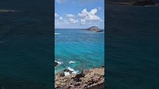 Exploring Honolulu, Oahu, Hawaii I 2025 I 4K  #shortsvideos #travel #hawaii #oahu #honolulu