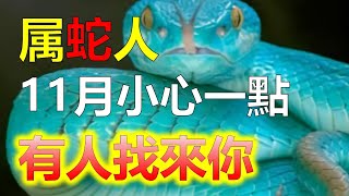 屬蛇人10月將有大事發生，有人来找你，2024年生肖屬蛇哪個月有要注意什麼，十二生肖當中有3大生肖有皇帝命，生肖蛇運勢馬上出大事，属虎、属鼠、属蛇這幾個生肖不可不慎