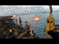 CUMI FULL, PEMANCING FULL I FULL STRIKE Ultralight Squid Fishing