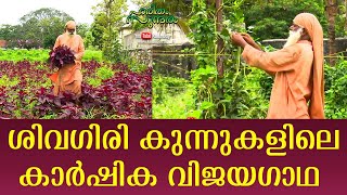 Watch the Agricultural success story in the Sivagiri hills | Haritham Sundharam EP 277