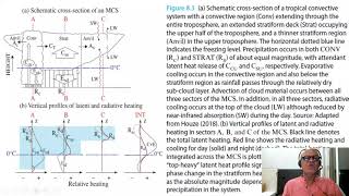 3 Detailed Structure of a Mesoscale Convective System