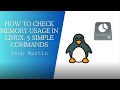 How to Check Memory Usage in Linux, 5 Simple Commands